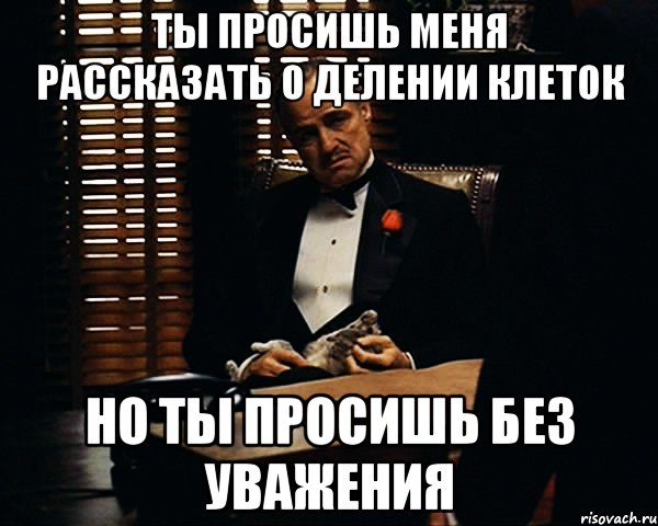 Ты просишь меня рассказать о делении клеток но ты просишь без уважения, Мем Дон Вито Корлеоне