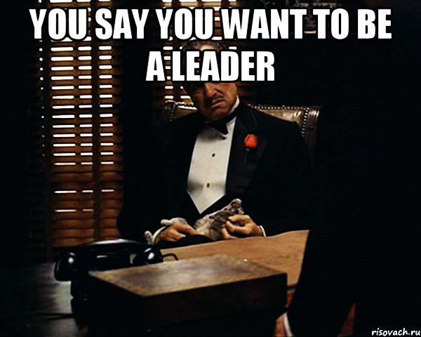 you say you want to be a leader , Мем Дон Вито Корлеоне