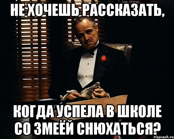 Не хочешь рассказать, когда успела в школе со змеёй снюхаться?, Мем Дон Вито Корлеоне