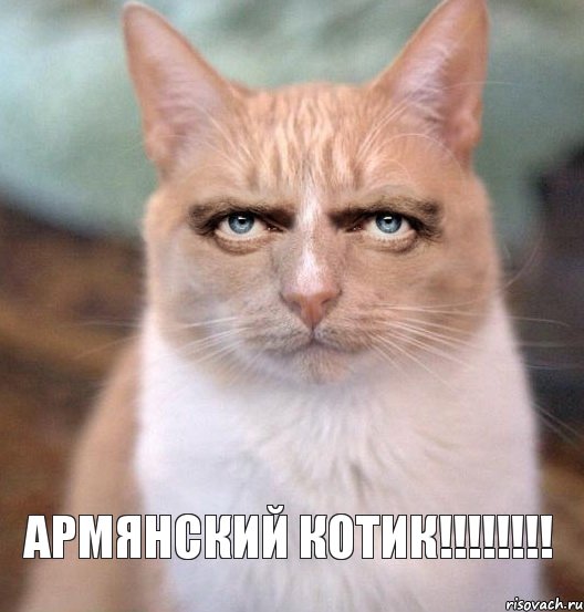 Армянский Котик!!!!!!!!, Комикс Dr Serious