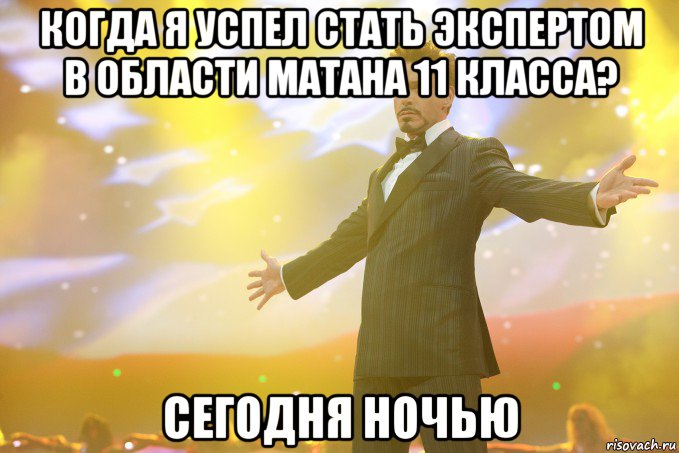 Когда я успел стать экспертом в области матана 11 класса? сегодня ночью, Мем Тони Старк (Роберт Дауни младший)