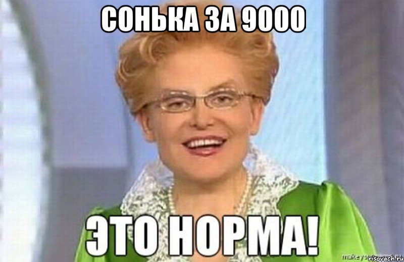 сонька за 9000 