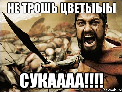 Не трошь цветыыы Сукаааа!!!!, Мем Это Спарта