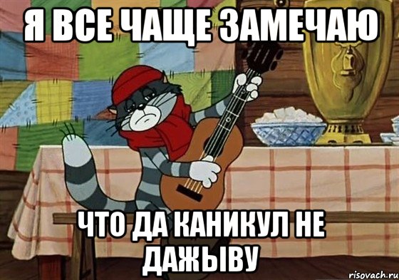 я все чаще замечаю что да каникул не дажыву, Мем Грустный Матроскин с гитарой