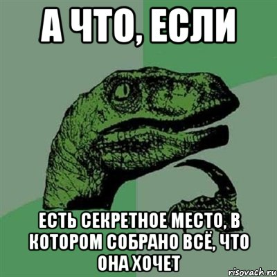 а что, если есть секретное место, в котором собрано всё, что она хочет, Мем Филосораптор