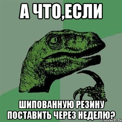 А что,если шипованную резину поставить через неделю?, Мем Филосораптор