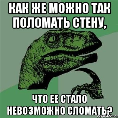 как же можно так поломать стену, что ее стало невозможно сломать?, Мем Филосораптор