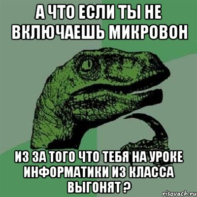 А что если ты не включаешь микровон из за того что тебя на уроке информатики из класса выгонят ?, Мем Филосораптор