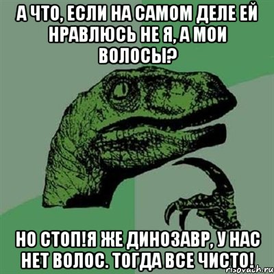 А ЧТО, ЕСЛИ НА САМОМ ДЕЛЕ ЕЙ НРАВЛЮСЬ НЕ Я, А МОИ ВОЛОСЫ? НО СТОП!Я ЖЕ ДИНОЗАВР, У НАС НЕТ ВОЛОС. ТОГДА ВСЕ ЧИСТО!, Мем Филосораптор