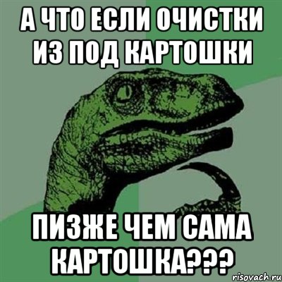 А что если очистки из под картошки пизже чем сама картошка???, Мем Филосораптор