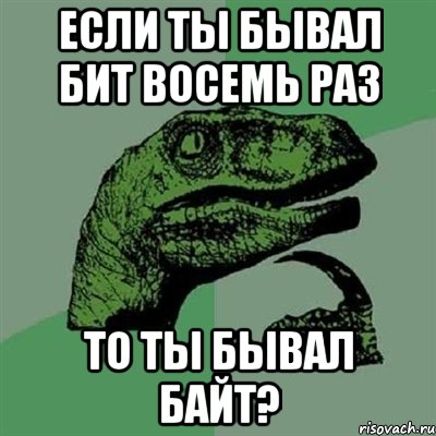 Если ты бывал бит восемь раз то ты бывал байт?, Мем Филосораптор