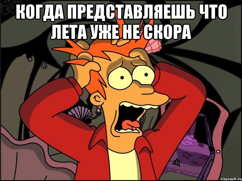 Когда представляешь что лета уже не скора , Мем Фрай в панике