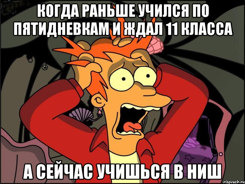 когда раньше учился по пятидневкам и ждал 11 класса а сейчас учишься в НИШ, Мем Фрай в панике