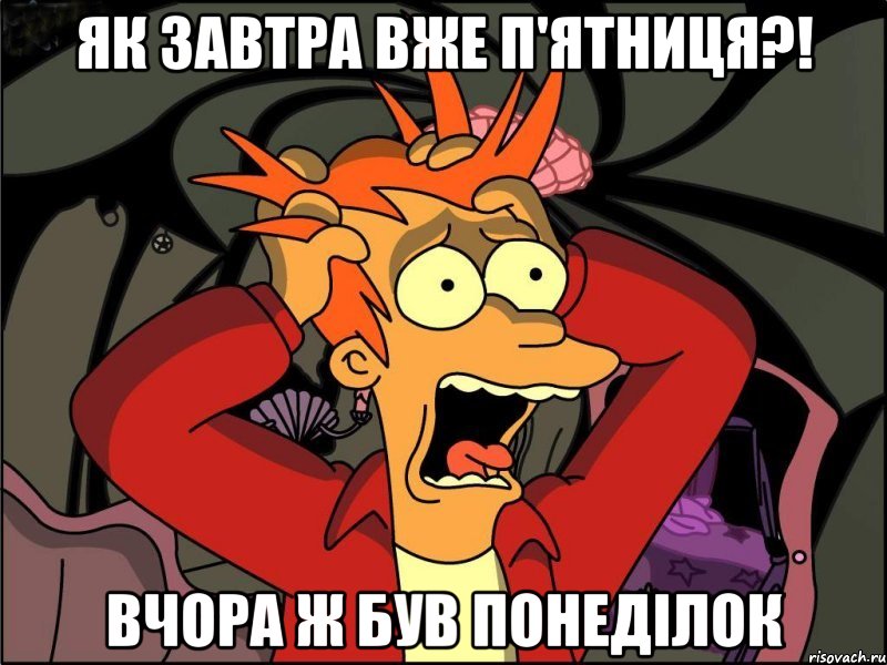 Як завтра вже п'ятниця?! вчора ж був понеділок, Мем Фрай в панике