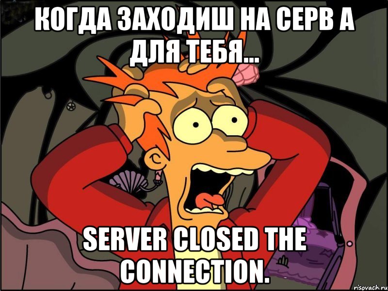 Когда заходиш на серв а для тебя... Server closed the connection., Мем Фрай в панике