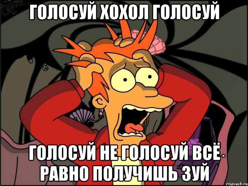 Голосуй хохол голосуй Голосуй не голосуй всё равно получишь зуй, Мем Фрай в панике