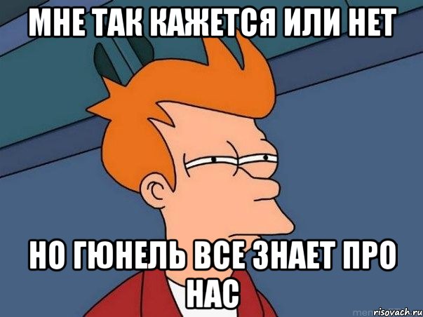 Мне так кажется или нет Но Гюнель все знает про нас, Мем  Фрай (мне кажется или)