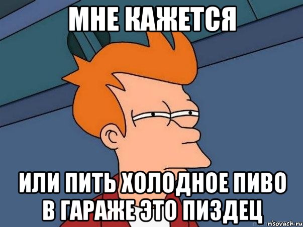 Мне кажется Или пить холодное пиво в гараже это пиздец, Мем  Фрай (мне кажется или)