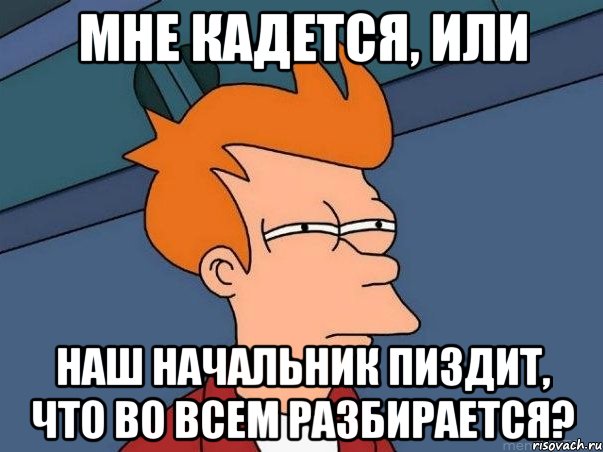 Мне кадется, или наш начальник пиздит, что во всем разбирается?, Мем  Фрай (мне кажется или)