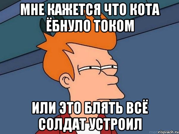 мне кажется что кота ёбнуло током или это блять всё солдат устроил, Мем  Фрай (мне кажется или)