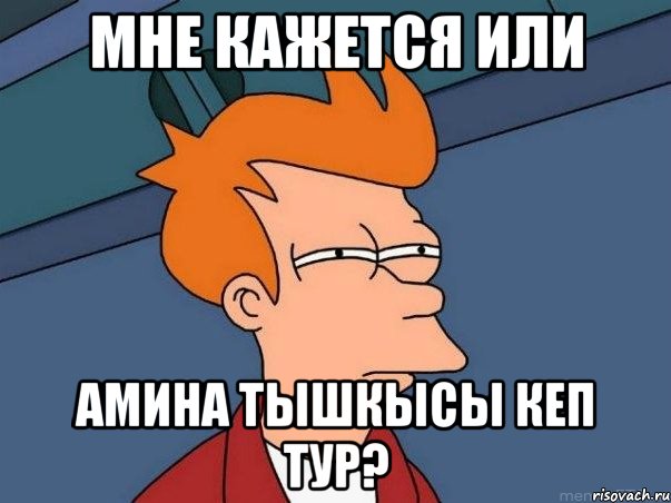 мне кажется или амина тышкысы кеп тур?, Мем  Фрай (мне кажется или)