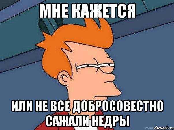 Мне кажется или не все добросовестно сажали кедры, Мем  Фрай (мне кажется или)