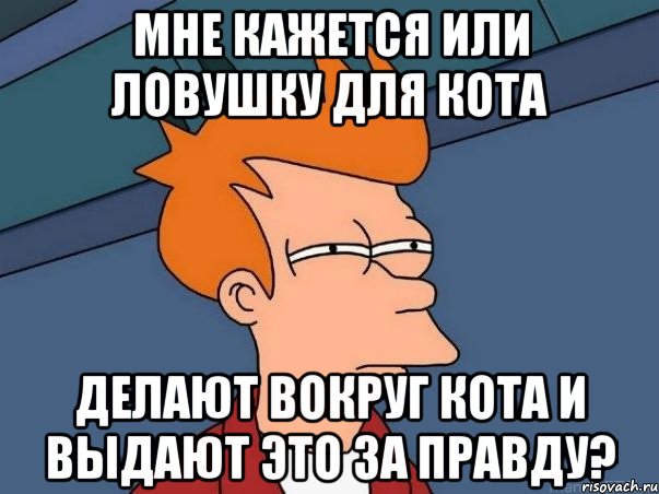 мне кажется или ловушку для кота делают вокруг кота и выдают это за правду?, Мем  Фрай (мне кажется или)