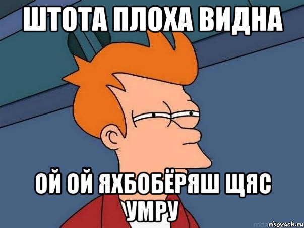 штота плоха видна ой ой яхбобёряш щяс умру, Мем  Фрай (мне кажется или)