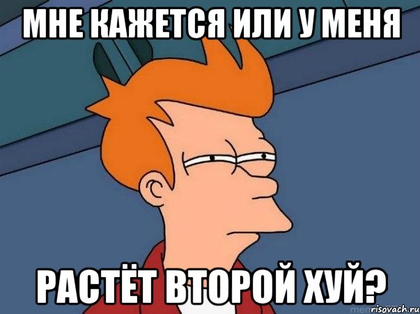 мне кажется или у меня растёт второй хуй?, Мем  Фрай (мне кажется или)