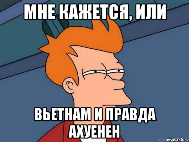 мне кажется, или Вьетнам и правда ахуенен, Мем  Фрай (мне кажется или)