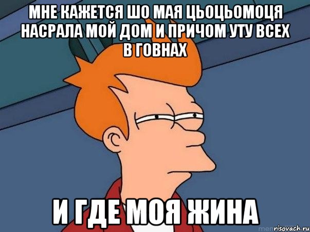 мне кажется шо мая цьоцьомоця насрала мой дом и причом уту всех в говнах и где моя жина, Мем  Фрай (мне кажется или)