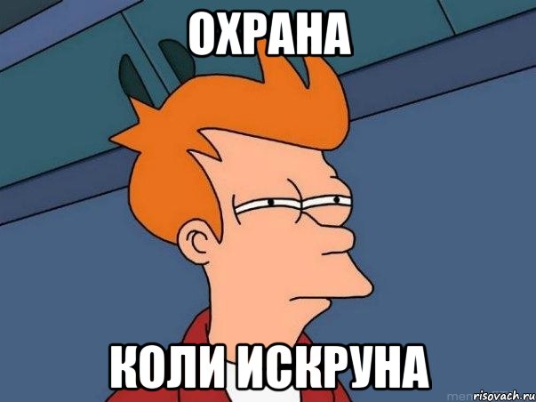 Охрана Коли Искруна, Мем  Фрай (мне кажется или)