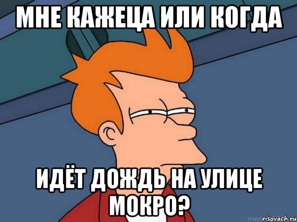 Мне кажеца или когда идёт дождь на улице мокро?, Мем  Фрай (мне кажется или)