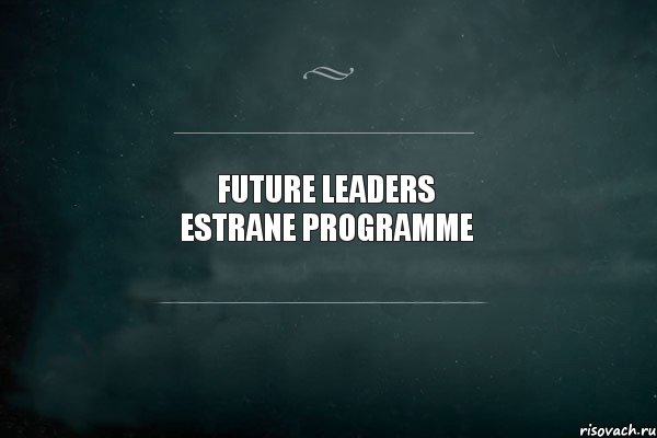 Future Leaders Estrane programme, Комикс Игра Слов