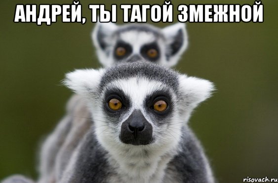 Андрей, ты тагой змежной 