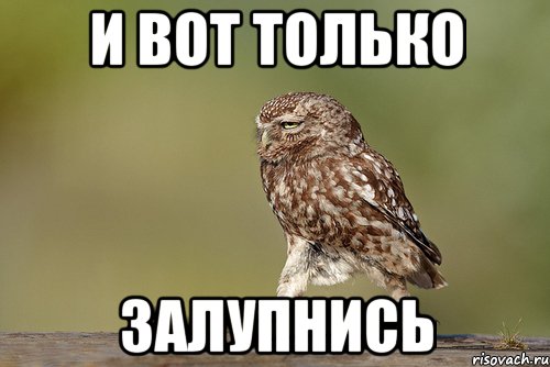 и вот только залупнись