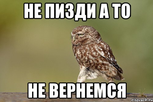 не пизди а то не вернемся