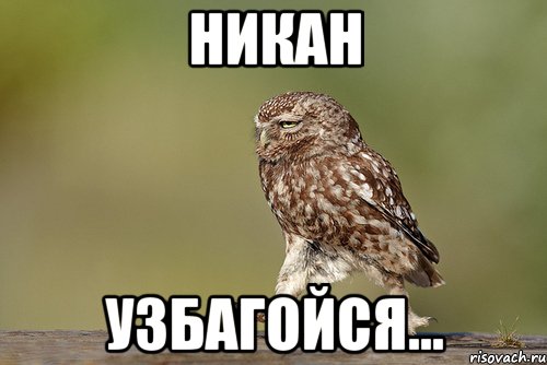 НИКАН узбагойся...