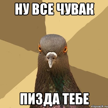 ну все чувак пизда тебе, Мем голубь