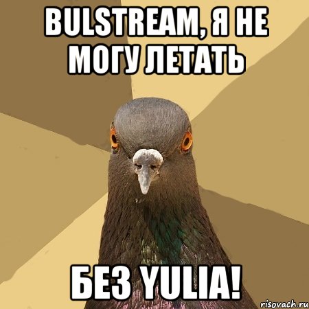 bulstream, я не могу летать без yulia!, Мем голубь