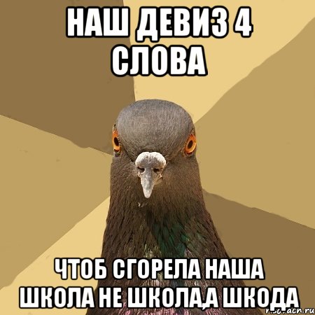 НАШ ДЕВИЗ 4 СЛОВА ЧТОБ СГОРЕЛА НАША ШКОЛА НЕ ШКОЛА,А ШКОДА, Мем голубь