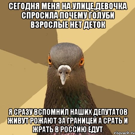 сегодня меня На улице,девочка спросила почему голуби взрослые нет деток я сразу вспомнил наших депутатов живут рожают за границей а срать и жрать в россию едут, Мем голубь