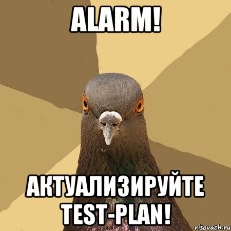 Alarm! Актуализируйте Test-Plan!, Мем голубь