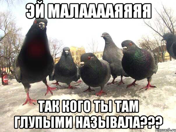 Эй малааааяяяя Так кого ты там глупыми называла???