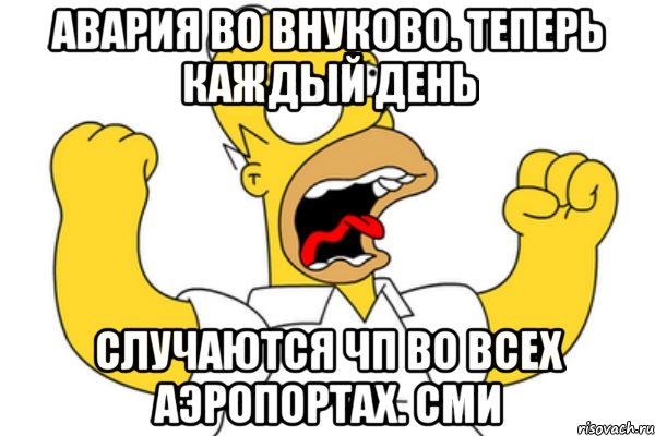 авария во Внуково. Теперь каждый день случаются ЧП во всех аэропортах. СМИ, Мем Разъяренный Гомер