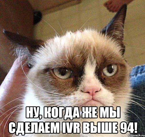  ну, когда же мы сделаем IVR выше 94!, Мем Грустный (сварливый) кот