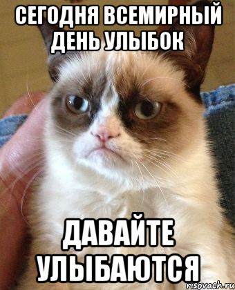 Сегодня всемирный день улыбок Давайте улыбаются, Мем Grumpy Cat small