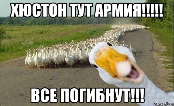 хюстон тут армия!!!!! все погибнут!!!, Мем гуси