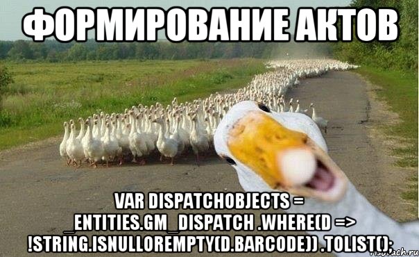 формирование актов var dispatchObjects = _entities.GM_Dispatch .Where(d => !String.IsNullOrEmpty(d.Barcode)) .ToList();, Мем гуси