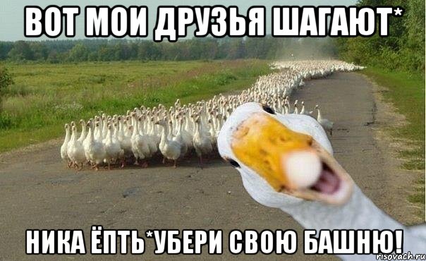 Вот мои друзья шагают* Ника ёпть*Убери свою башню!, Мем гуси